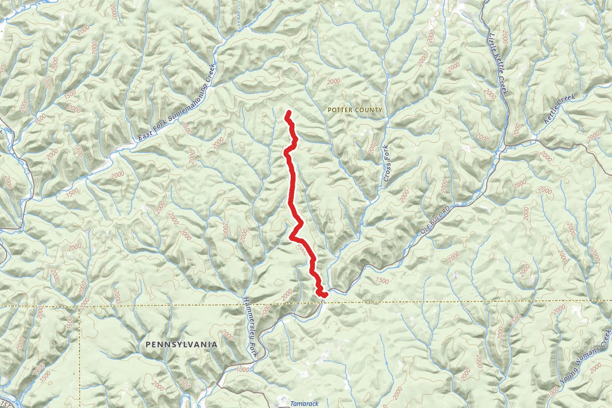 Twin Sisters Trail