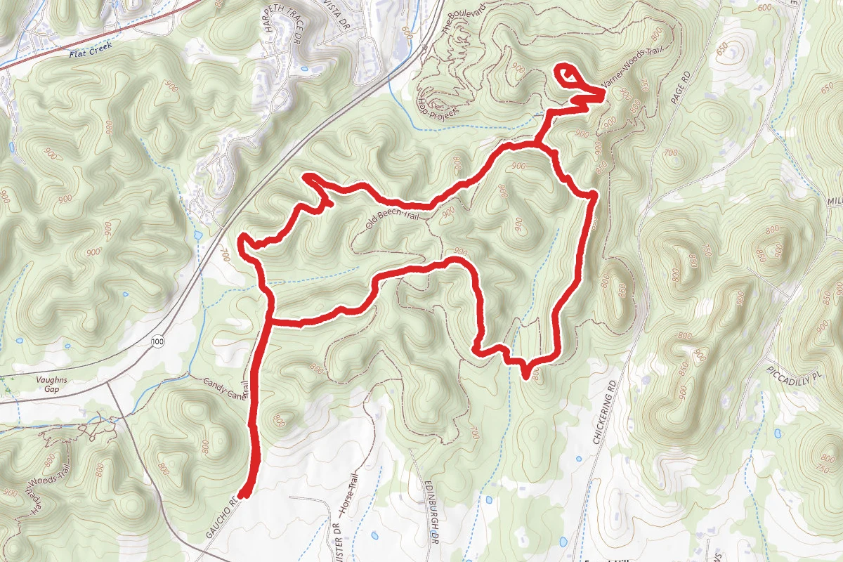 Mossy Ridge Trail Loop