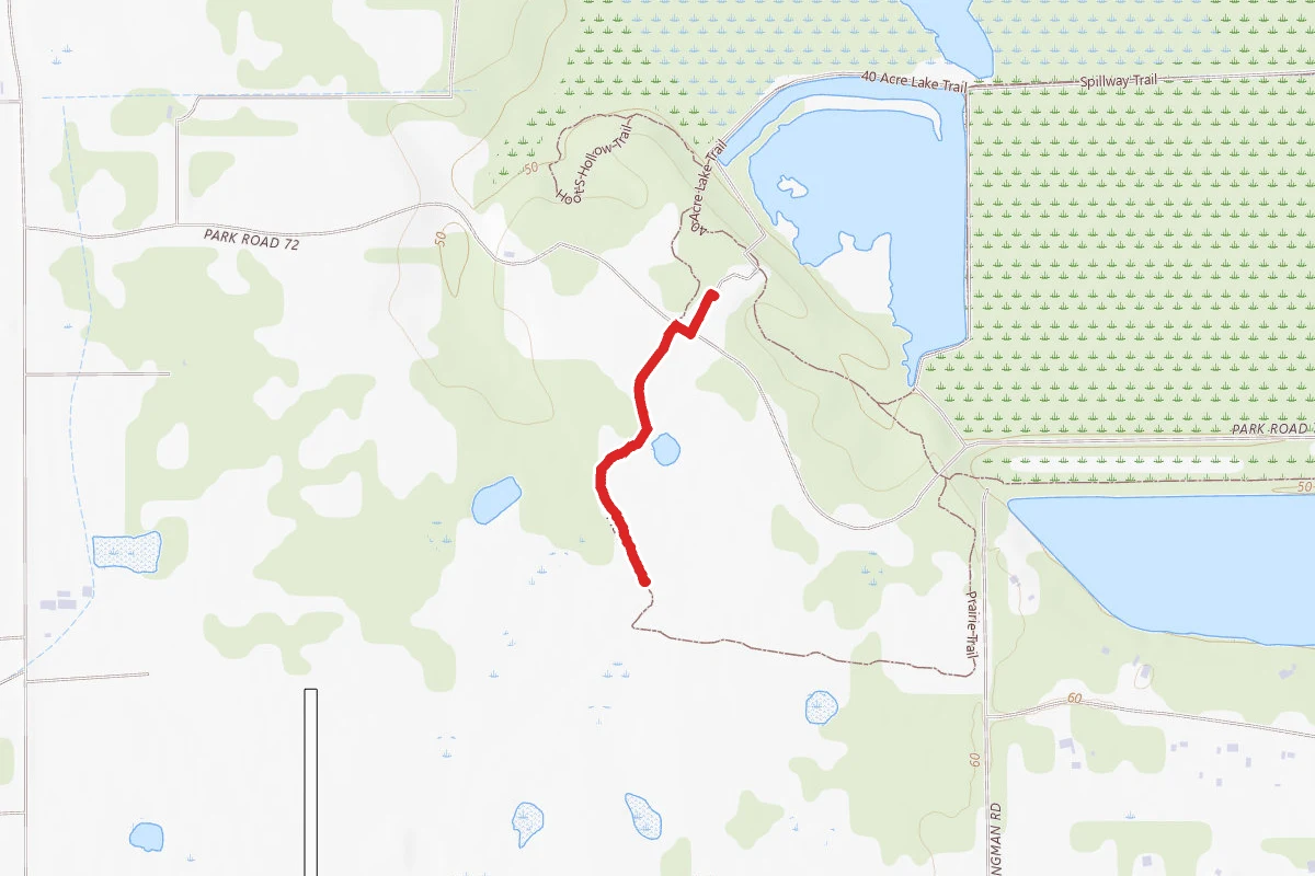 Brazos Bend Side Trail