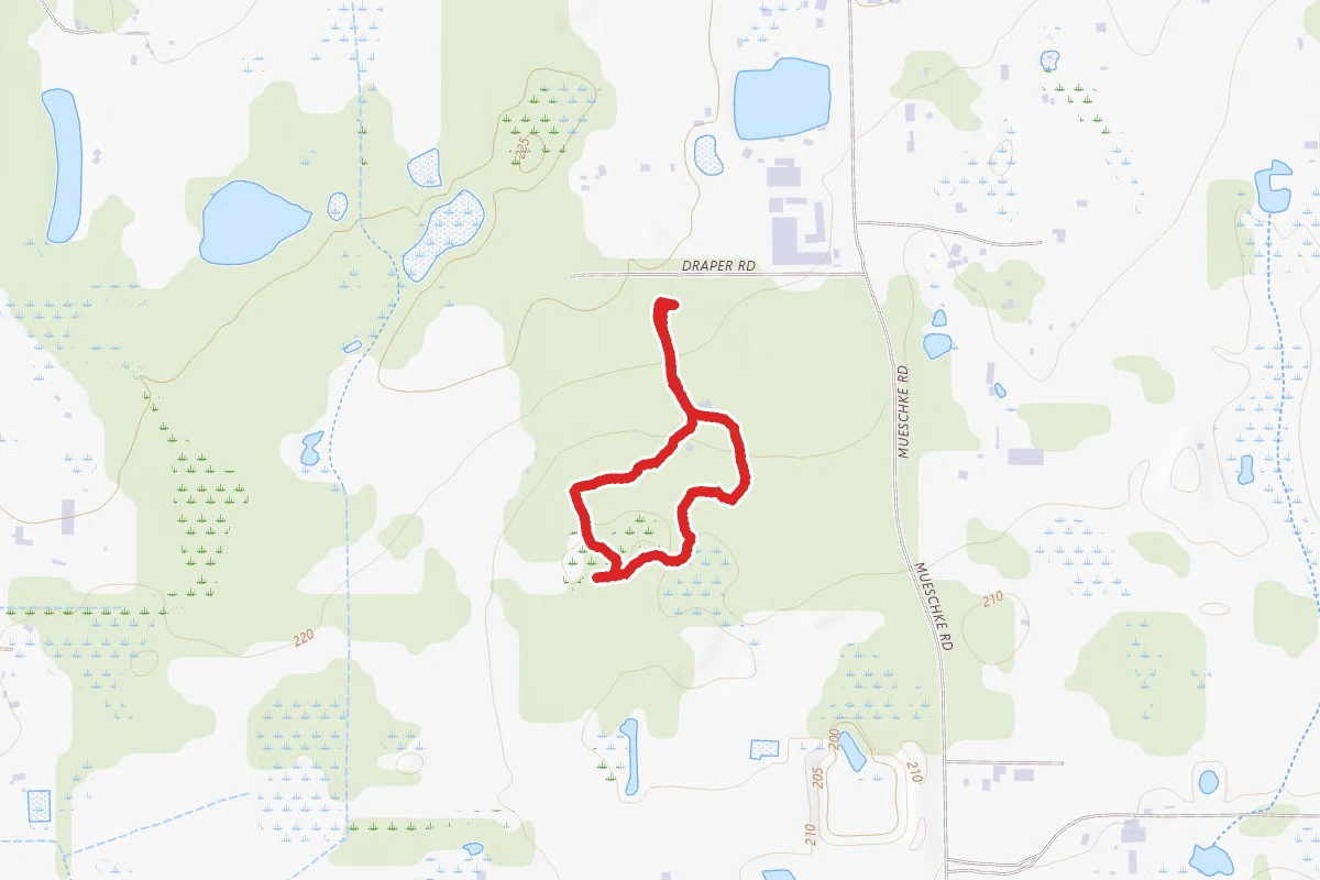 Kleb Woods South