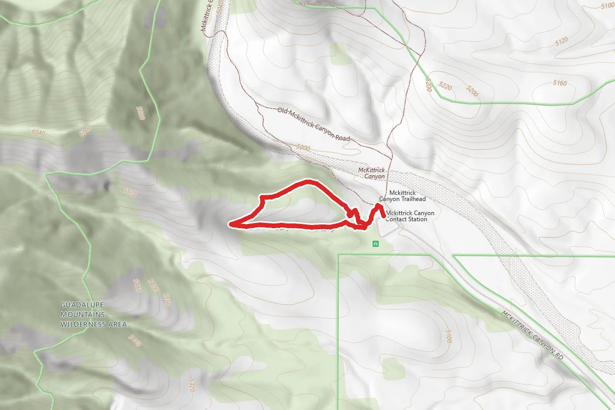 McKittrick Canyon Nature Loop Trail