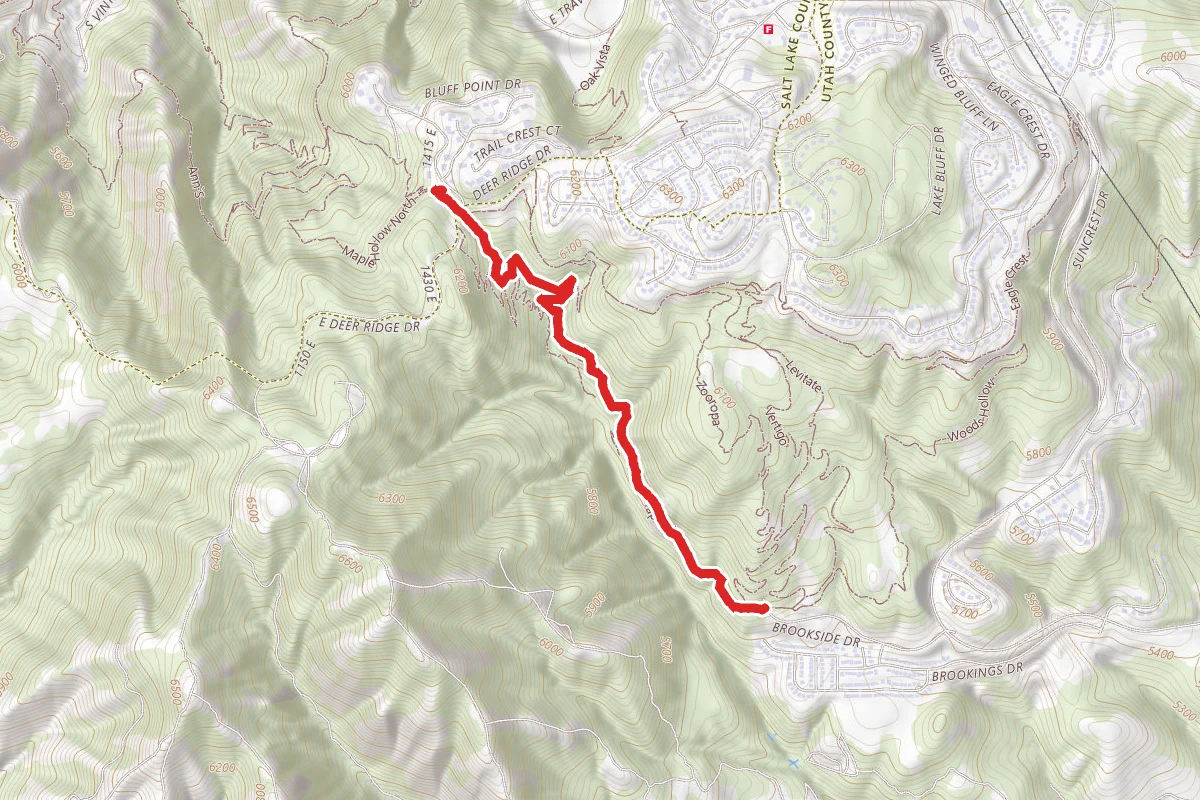South Maple Hollow