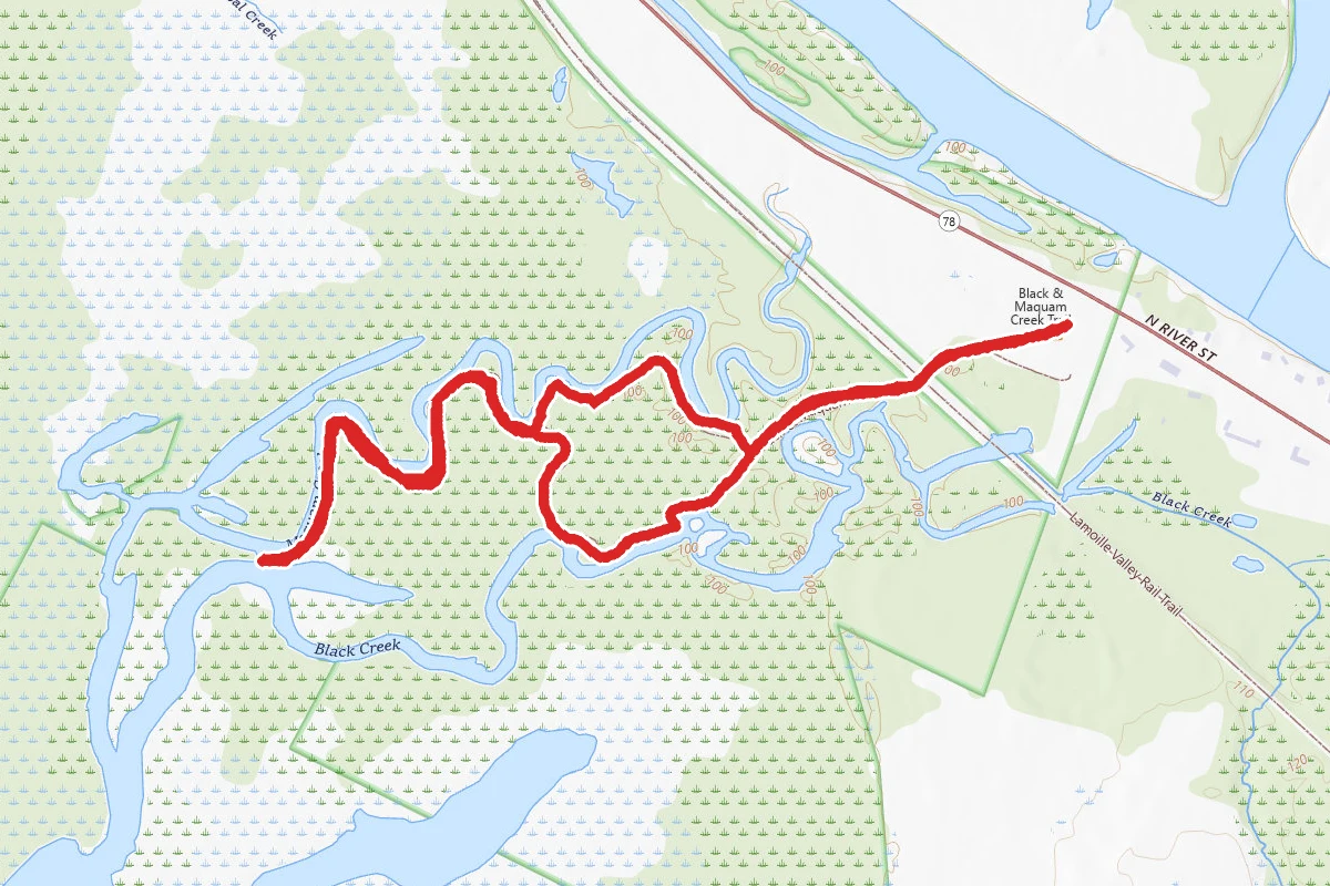 Maquam Creek Trail