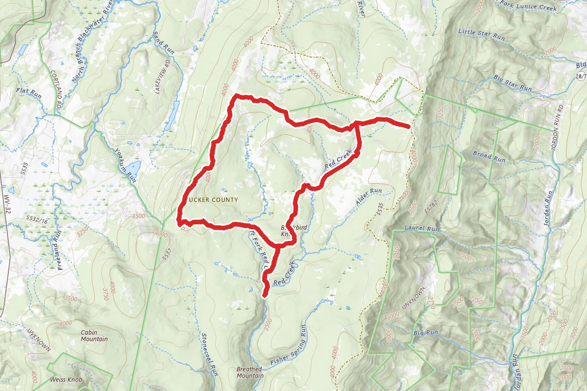 Bear Rocks Trail to Raven Ridge, Blackbird Knob, and Upper Red Creek Trail Loop