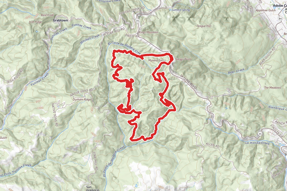 El Corte De Madera Trail Sampler Loop- El Corte Madera Creek Trail and Fir Trail