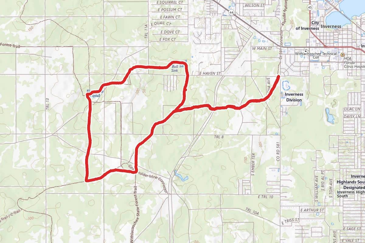 Citrus Loop