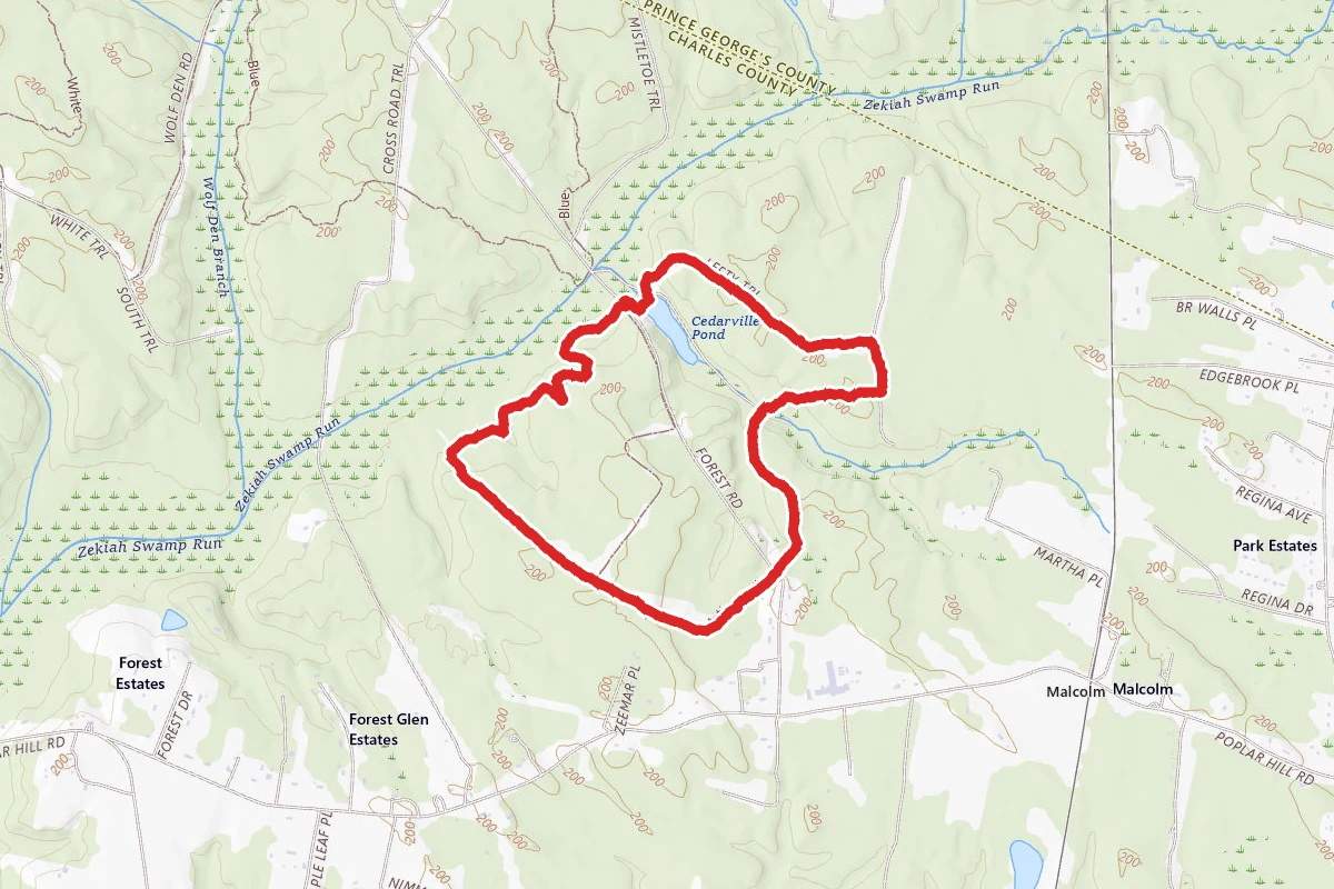 Cedarville Pond via Left, Swamp and Plantation Trail