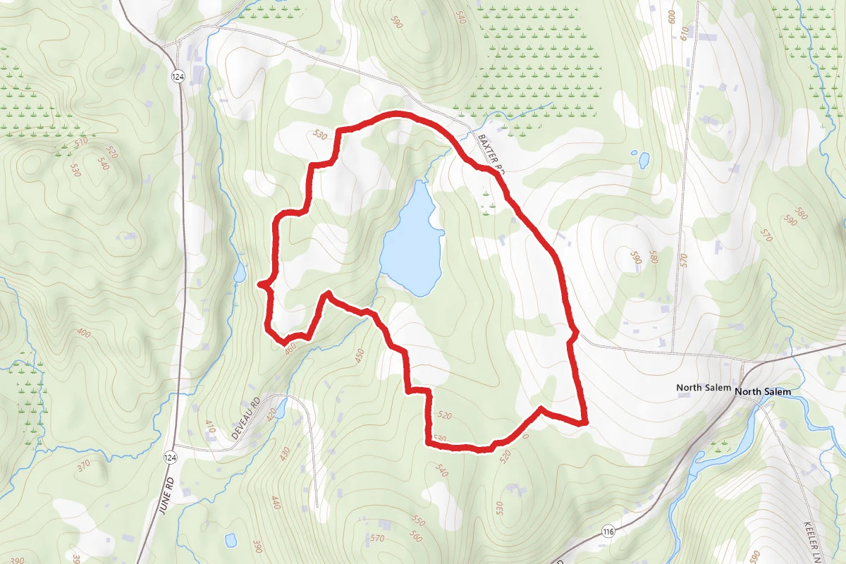 Baxter Preserve