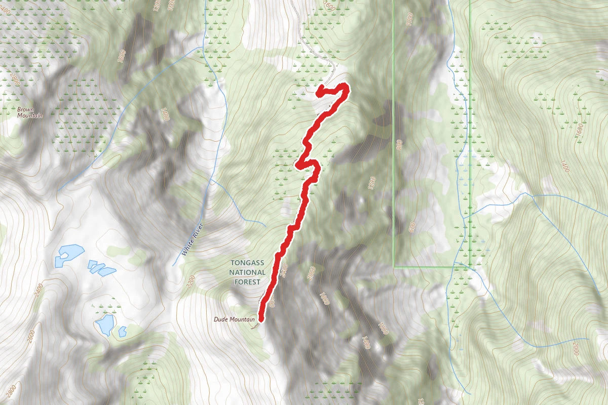 Dude Mountain