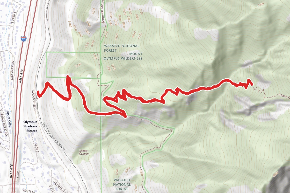 Mount Olympus Stream
