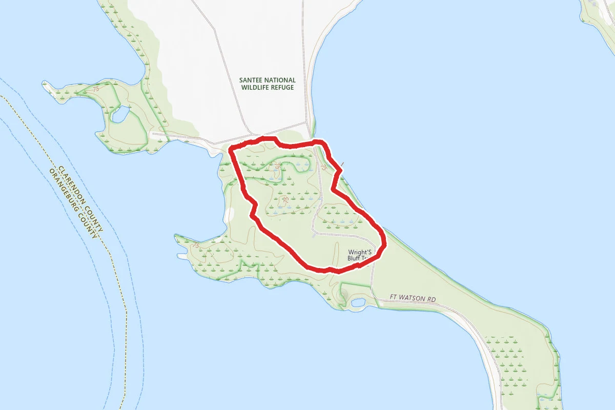 Wrights Bluff Nature Trail