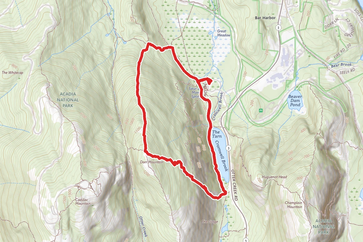 Dorr Mountain North Ridge Trail to Ladder Trail route map