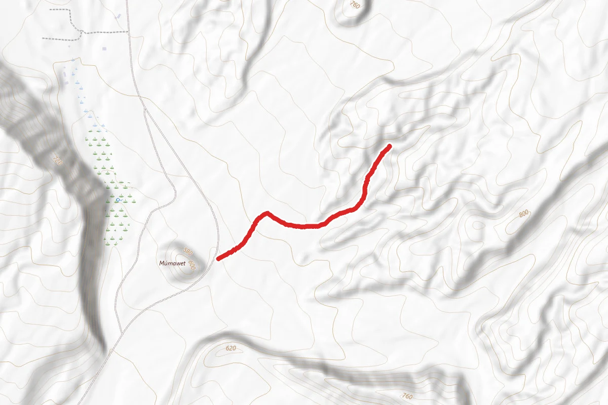 Indian Palms Trail