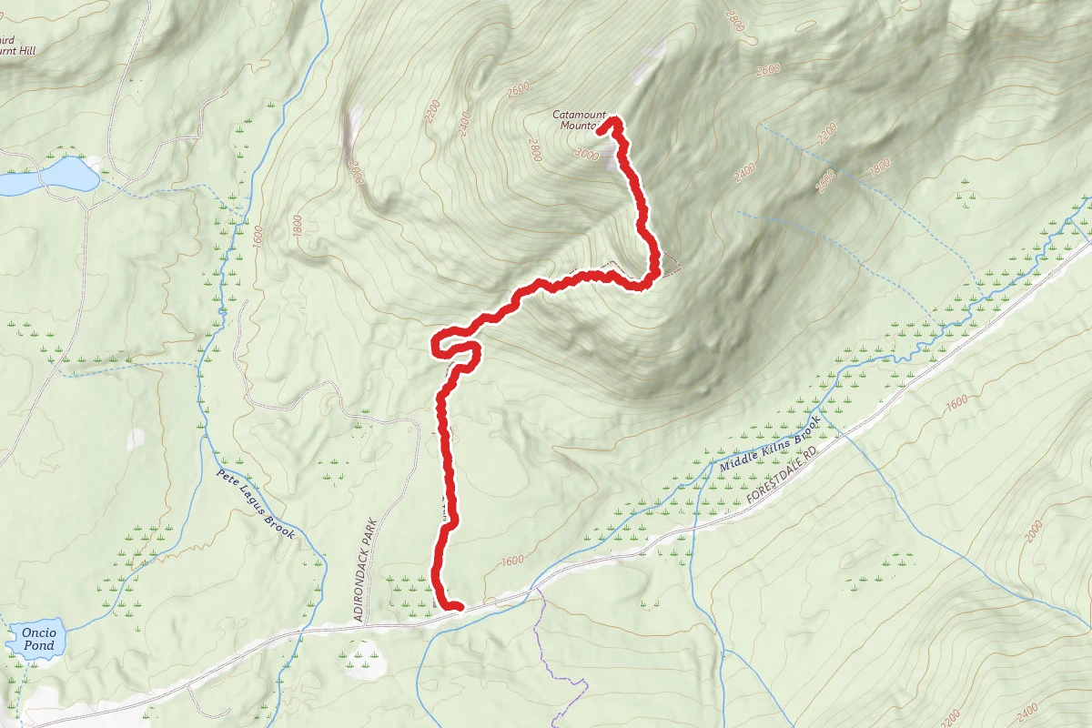 Catamount Mountain Trail