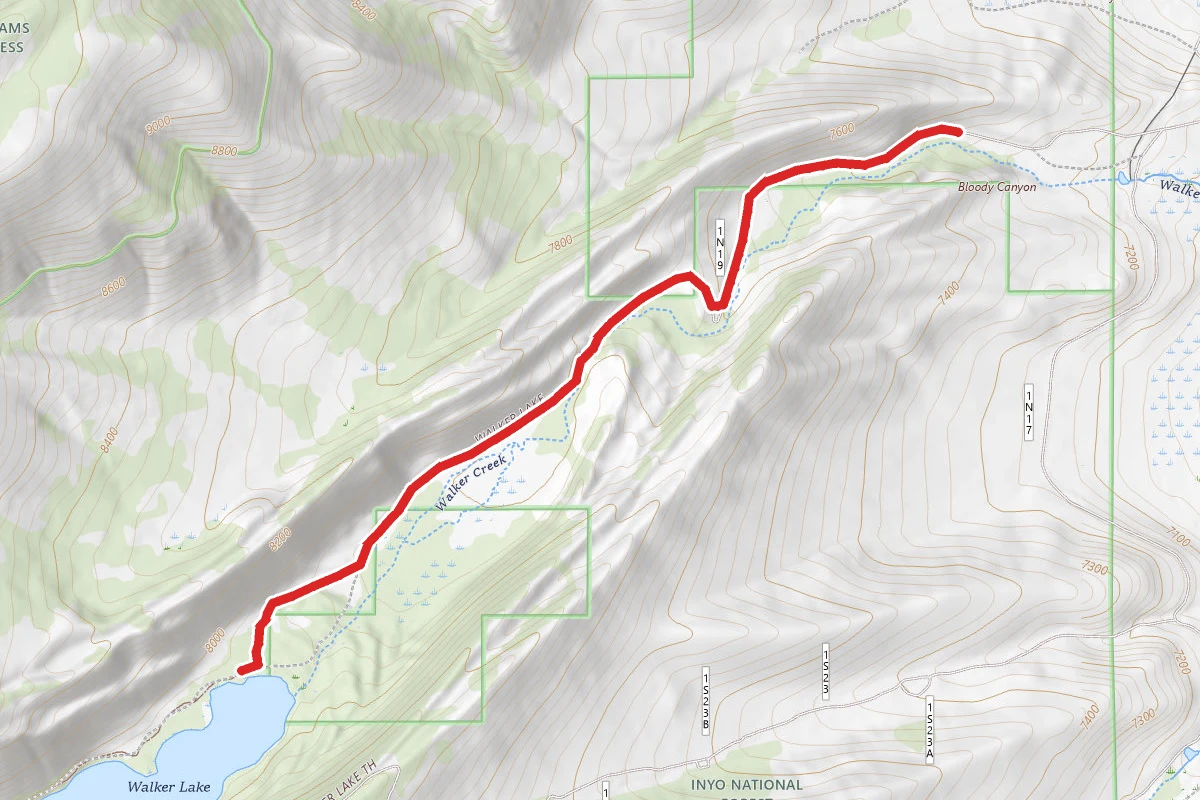 Bloody Canyon to Walker Lake