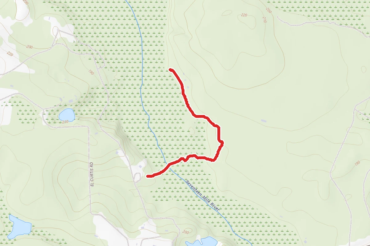 East River Swamp Trail