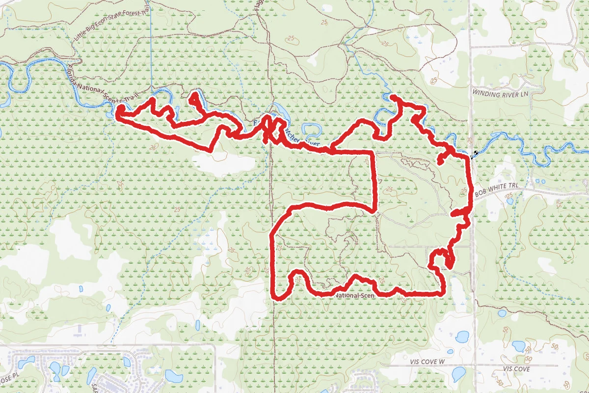 Jones East Florida Trail and River Trail Loop