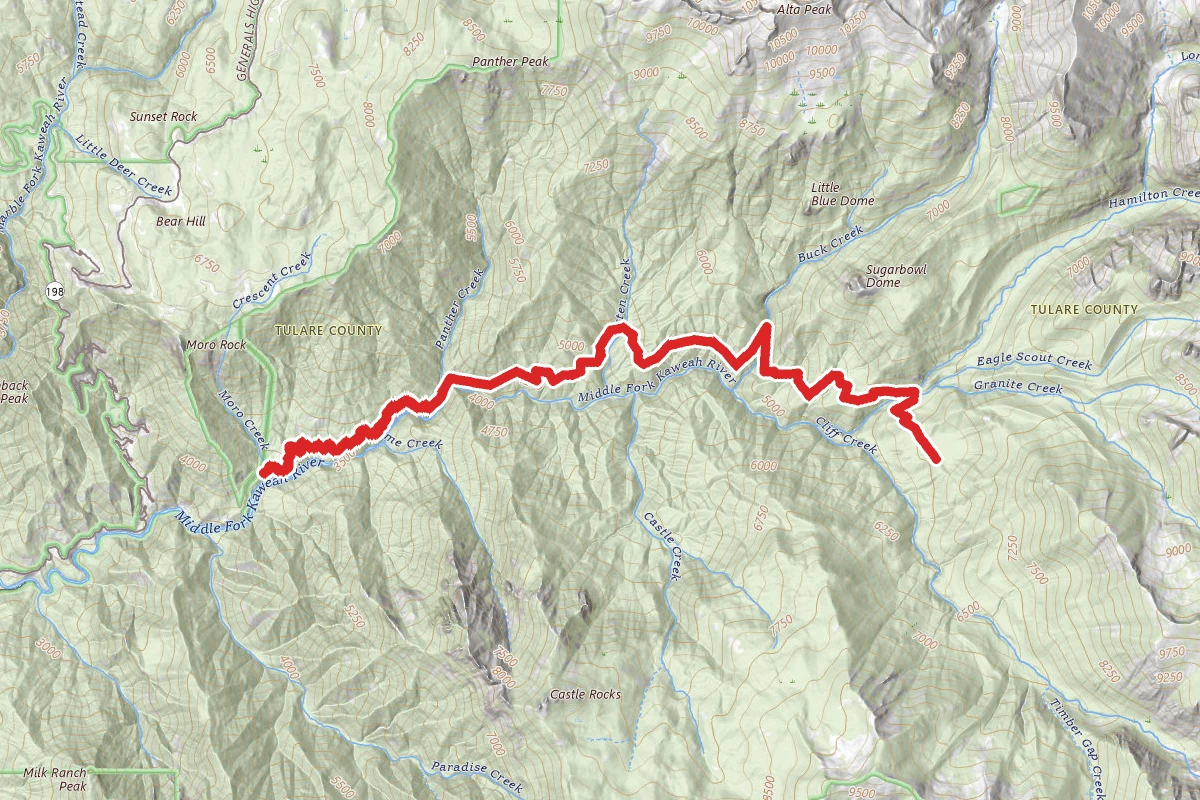 Bearpaw Meadow to Redwood Meadow Trail
