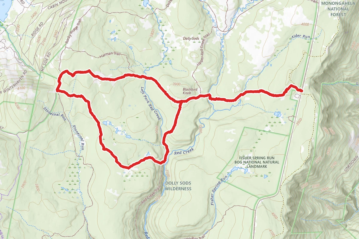 Blackbird Knob Trail Loop