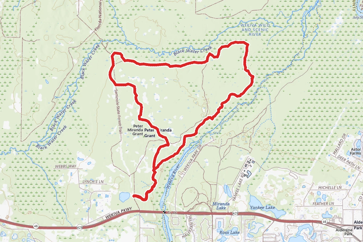 Lower Wekiva Loop via Florida Trail