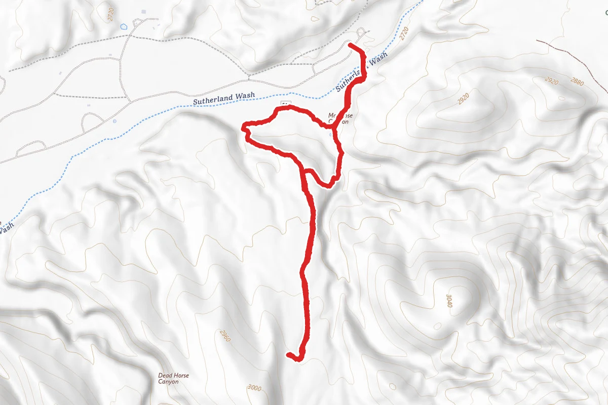 Birding Trail to Alamo Loop Trail
