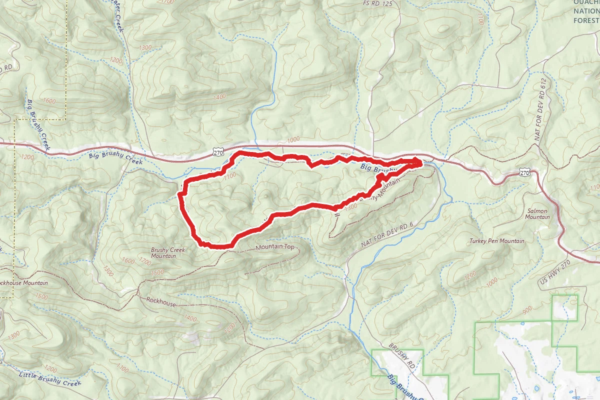 Big Brushy Loop Trail