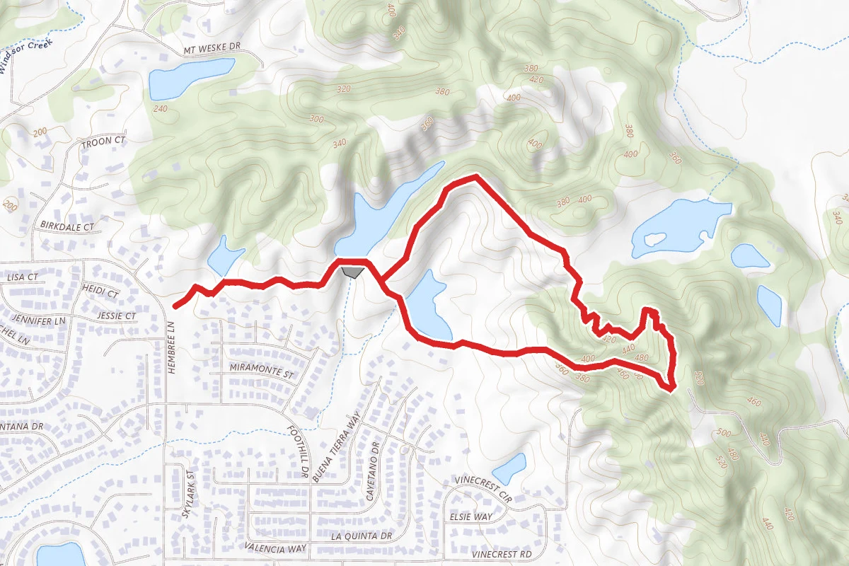Alta Vista Trail Loop