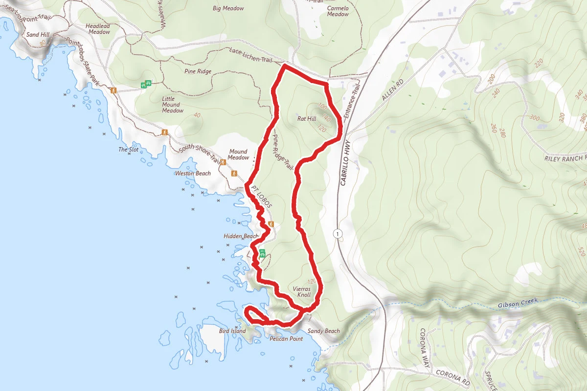 Bird Island, South Plateau Trail, and Mound Meadow Trail Loop