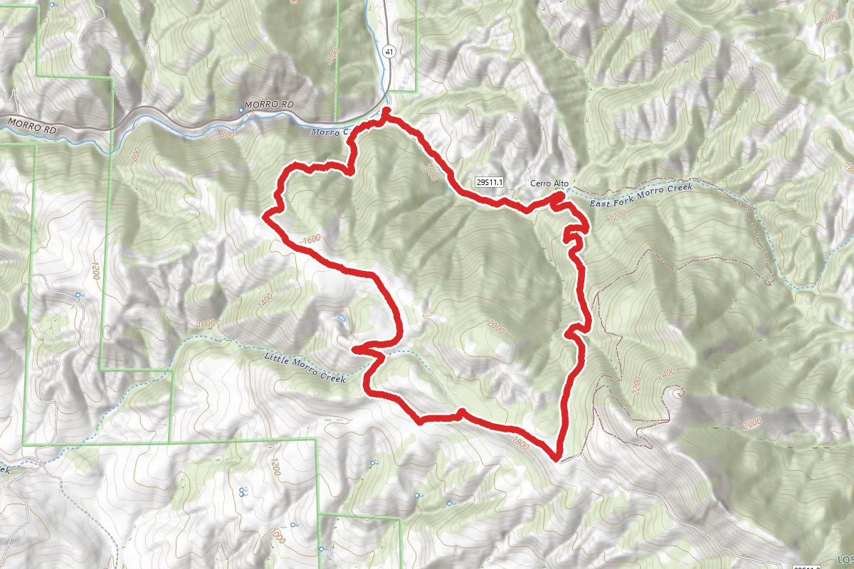 Boyscout and Bridge Loop