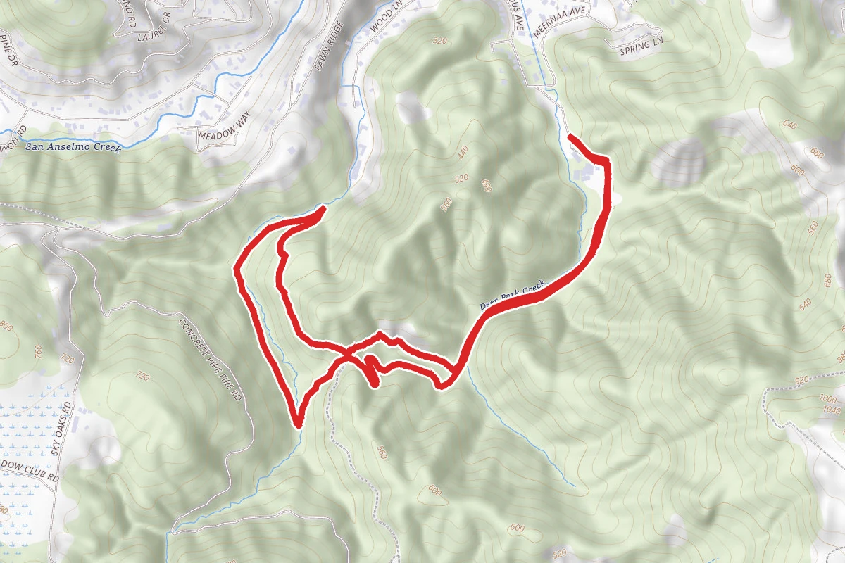 Canyon and Moore Trail Loop via Deer Park Fire Road