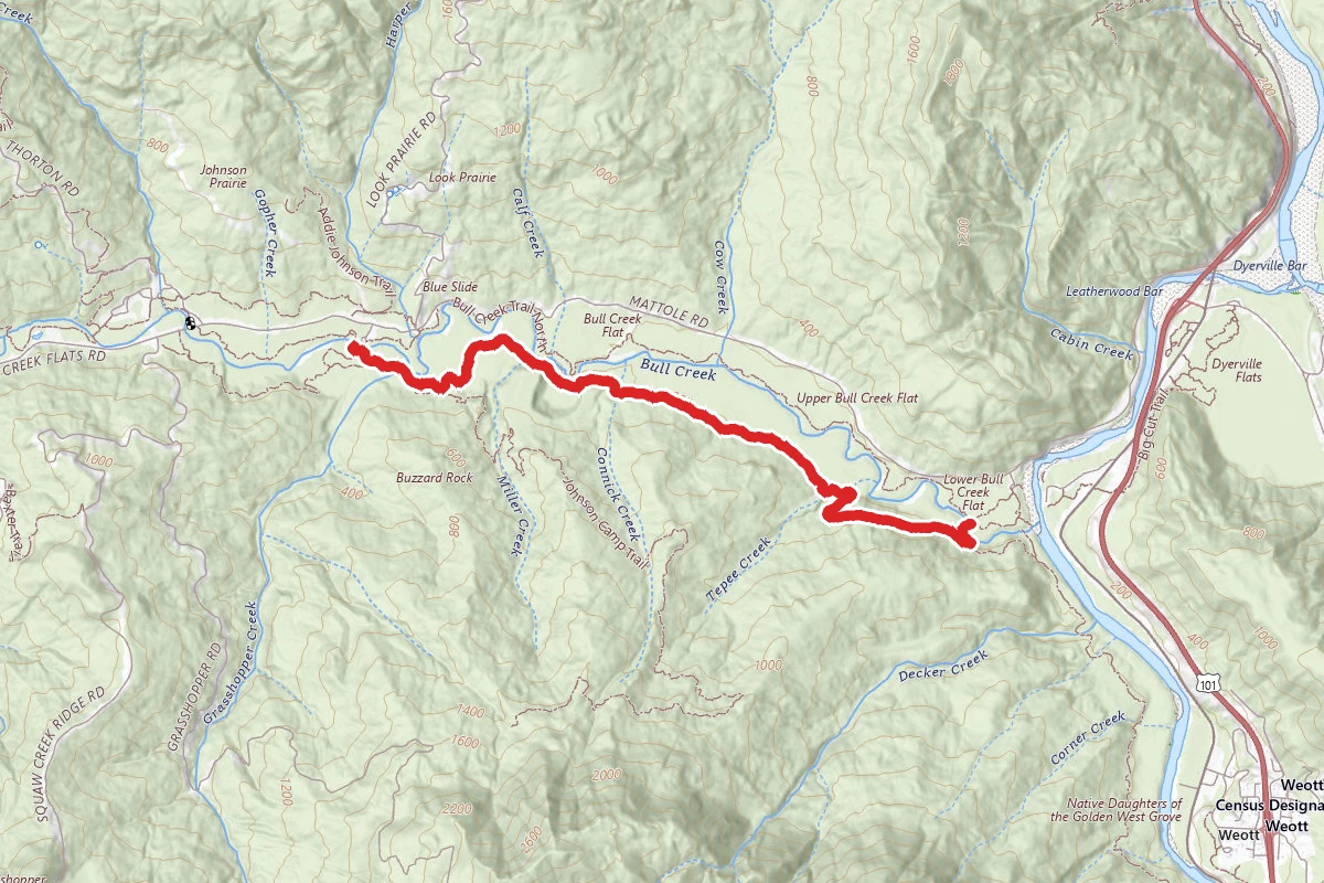 Bull Creek South Trail