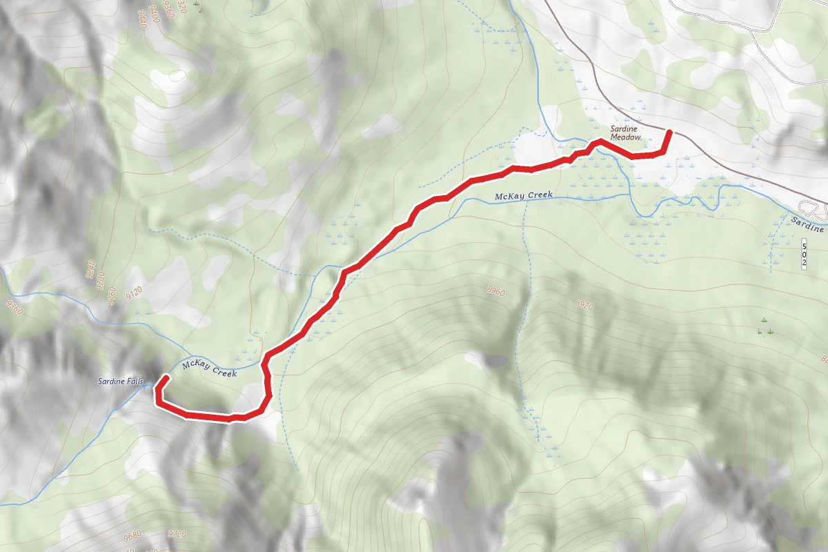 Sardine Falls Trail