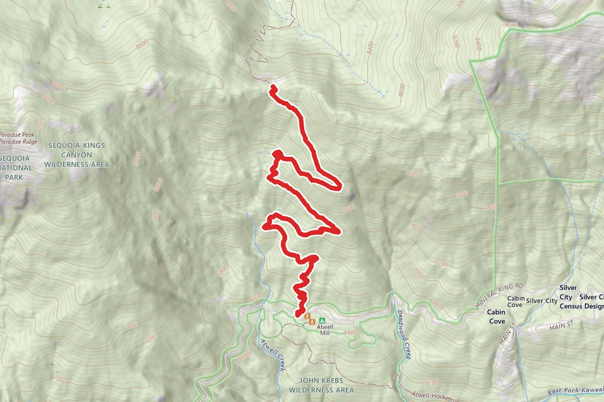 Paradise Ridge Trail