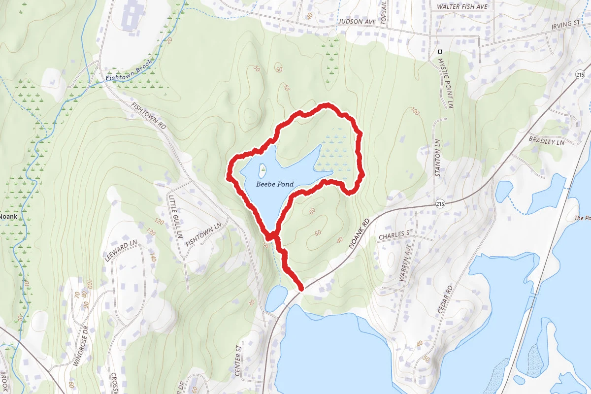 Beebe Park Pond Loop