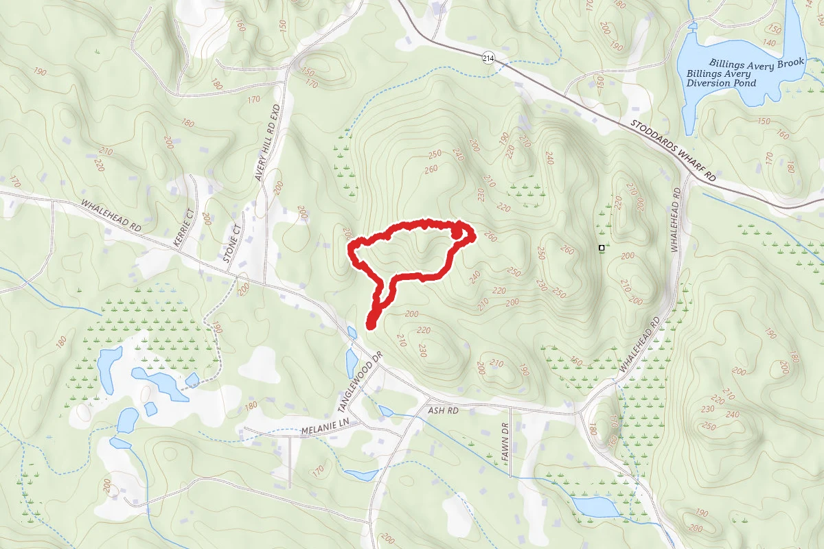 Ledyard Glacial Park Blue Loop