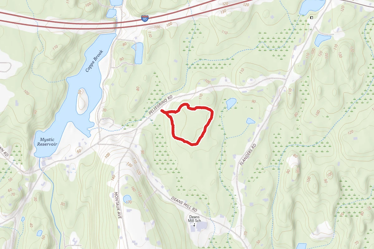 Woodlot Sanctuary Loop