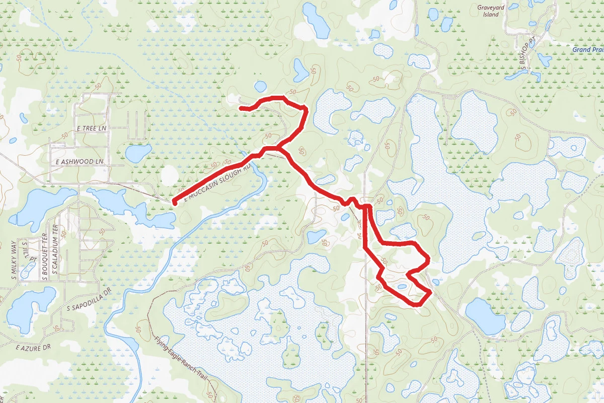 Flying Eagle Preserve Loop