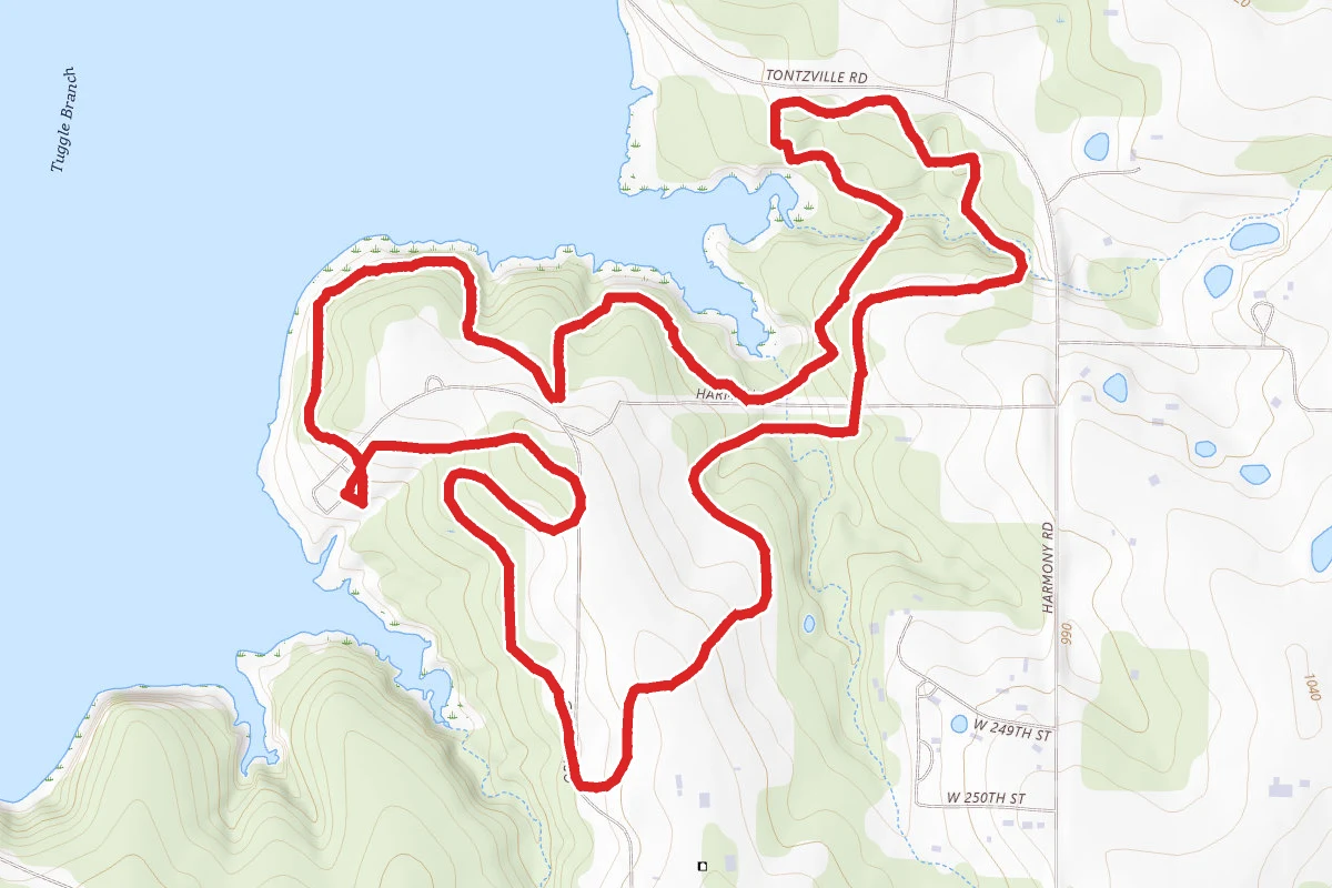 Blue Camp Trail