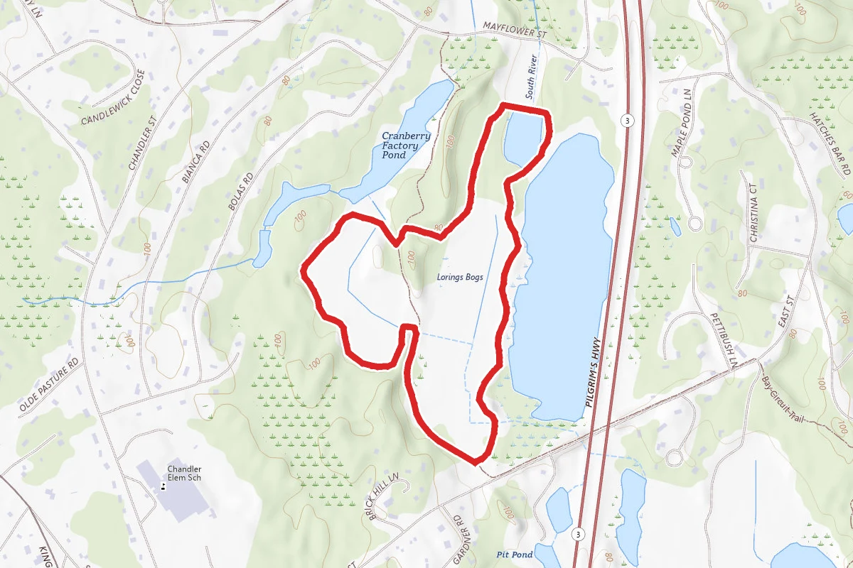 East Street Bogs Loop Trail