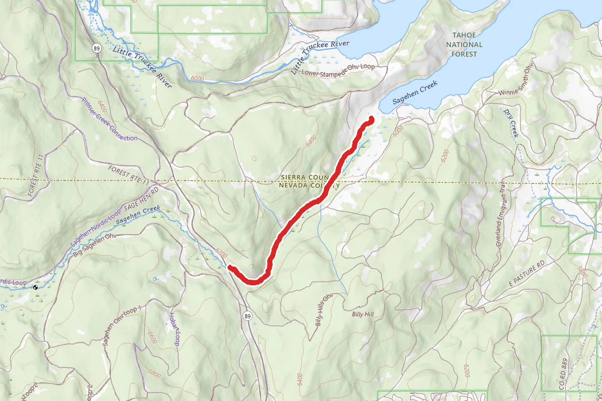 Sagehen Creek Trail