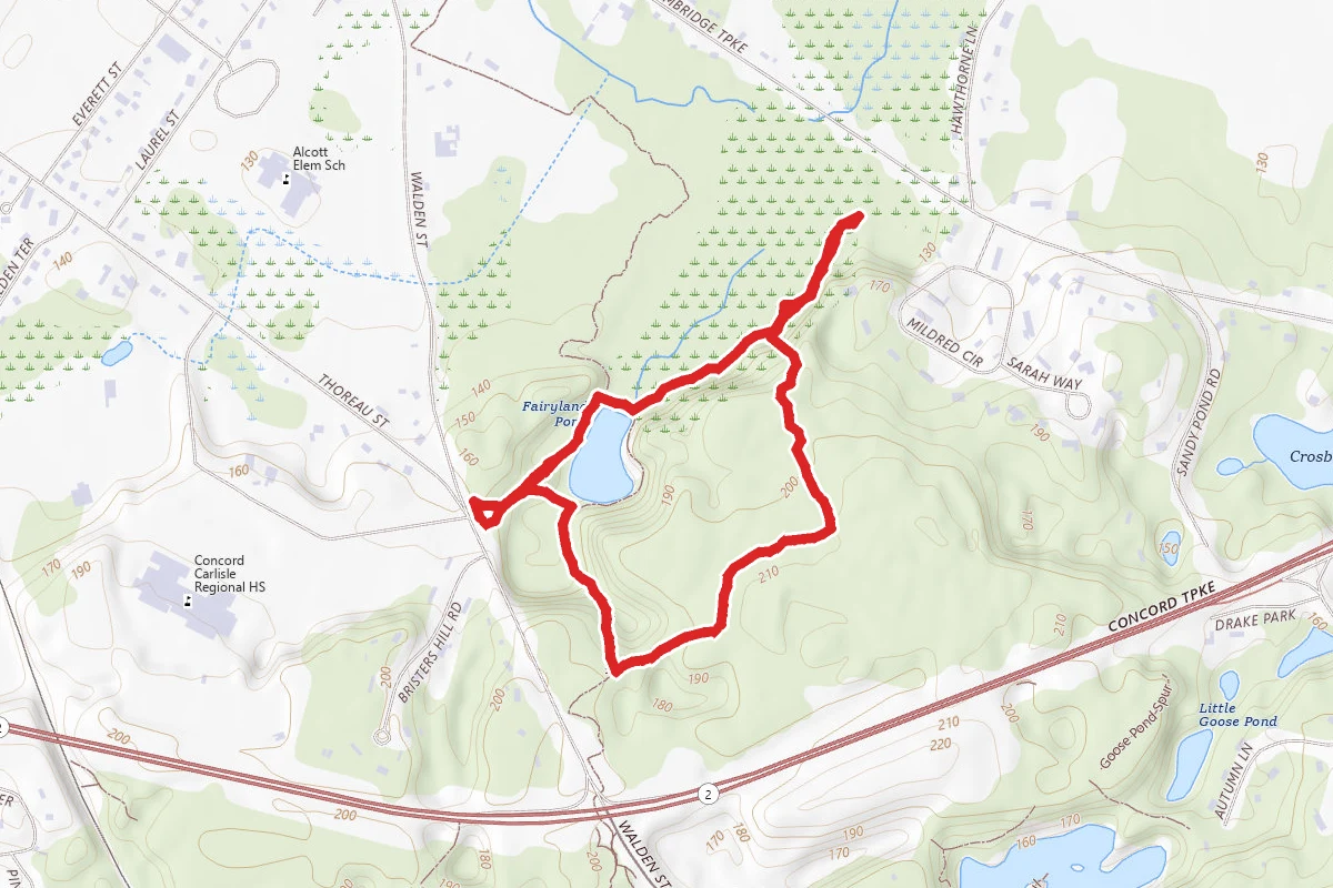 Hapgood Wright Forest Loop