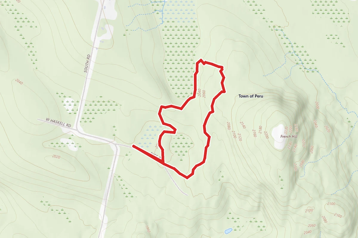 Dorothy Frances Orange Trail Loop