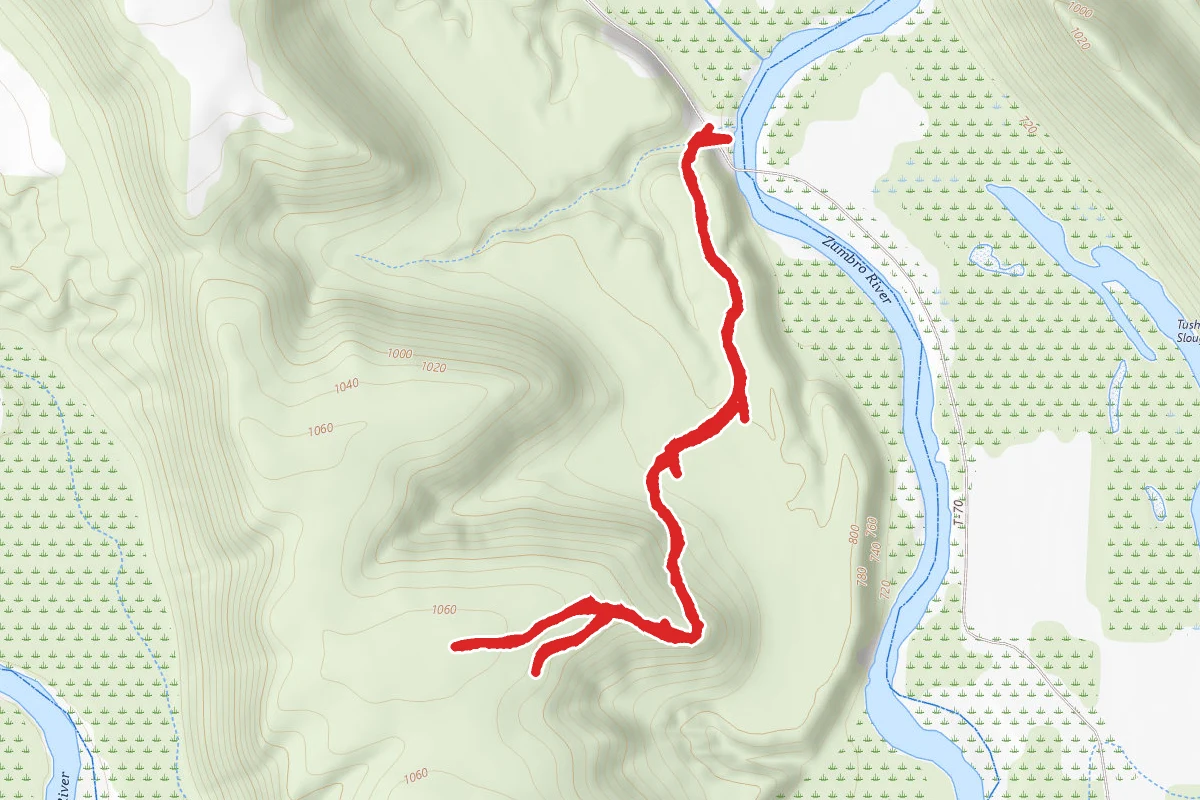 Zumbro Bottoms