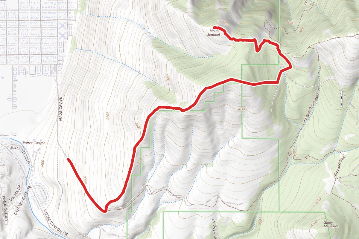 Mount Sentinel via Pengelly Ridge Trail