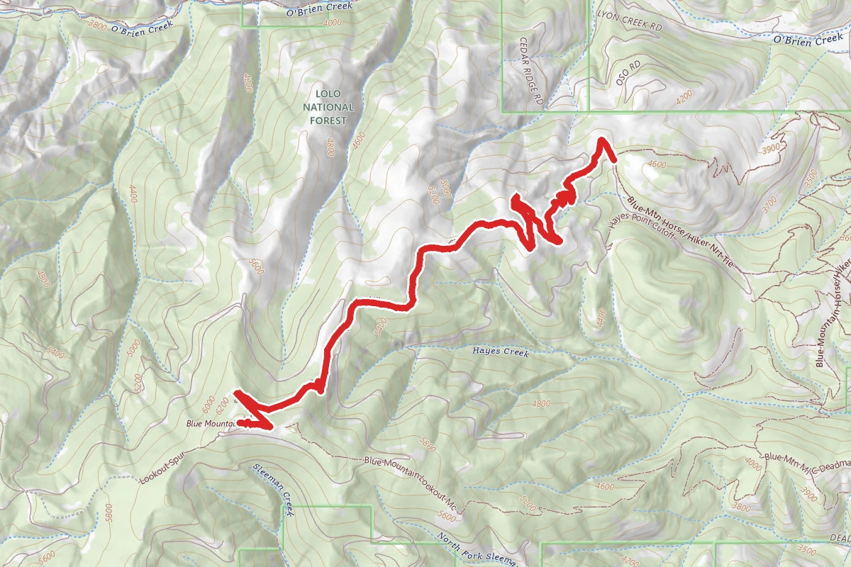 Blue Mountain Lookout Trail