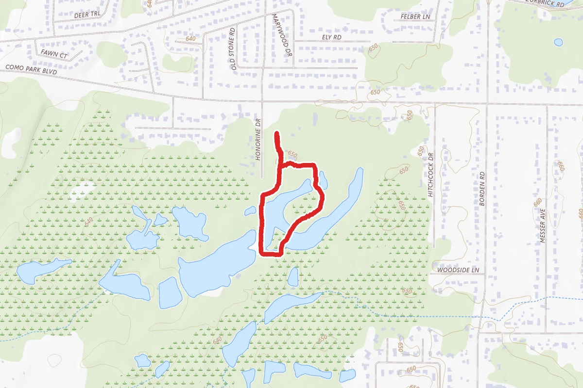 Lily Pond Loop