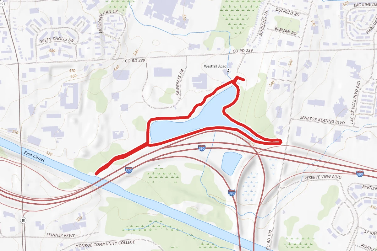 Brighton Town Park Trail