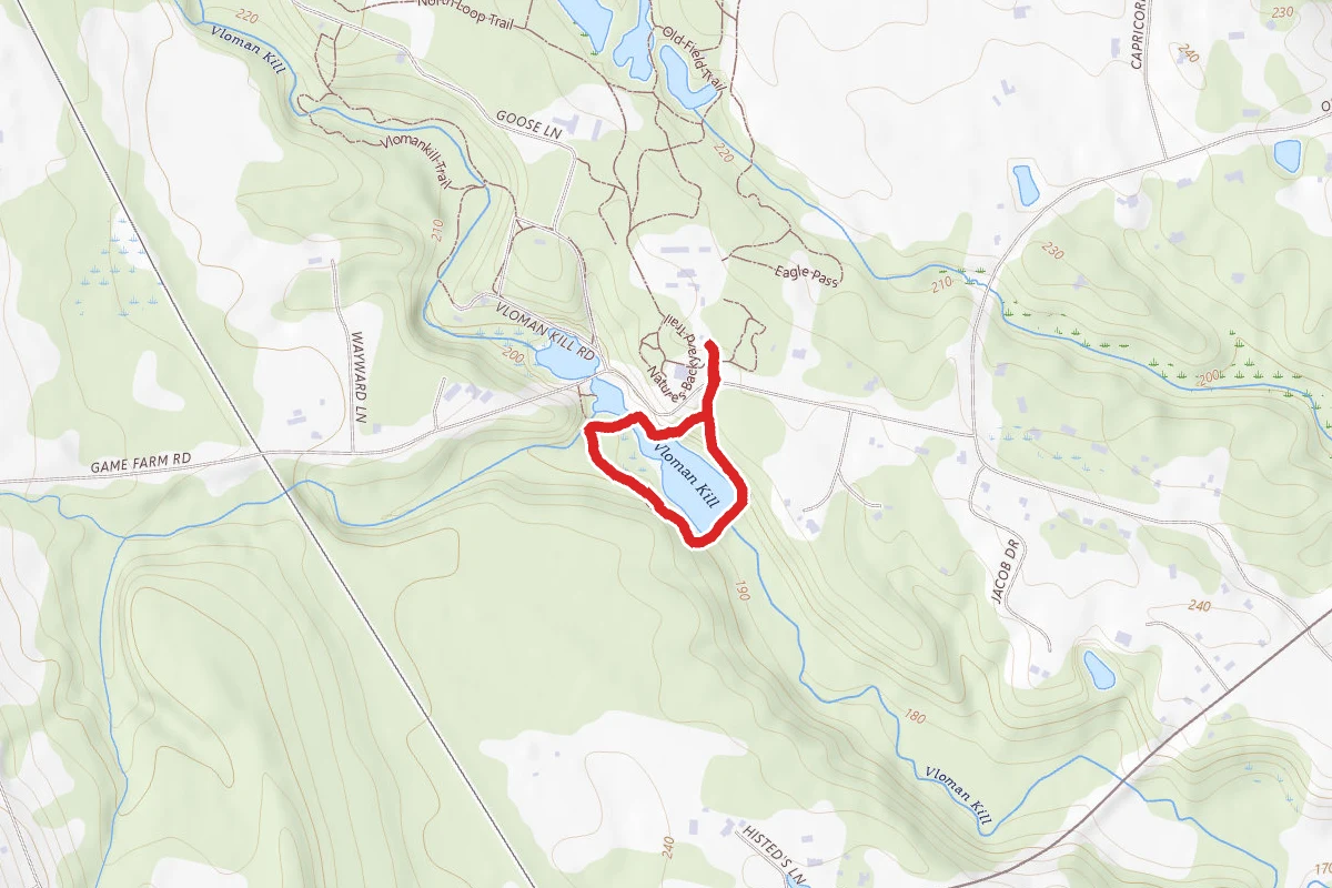 Beaver Tree Trail