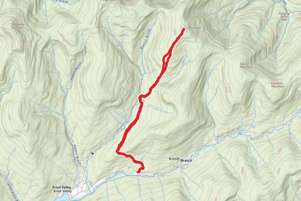 Fir Mountain via Pine Hill-West Branch Trail