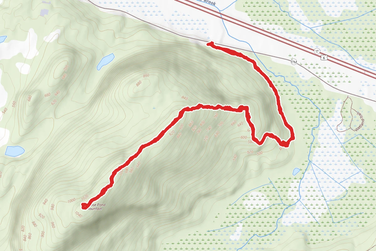 Goosepond Mountain